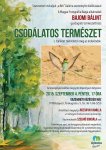 Természetfotó-kiállítás Gazdagréten