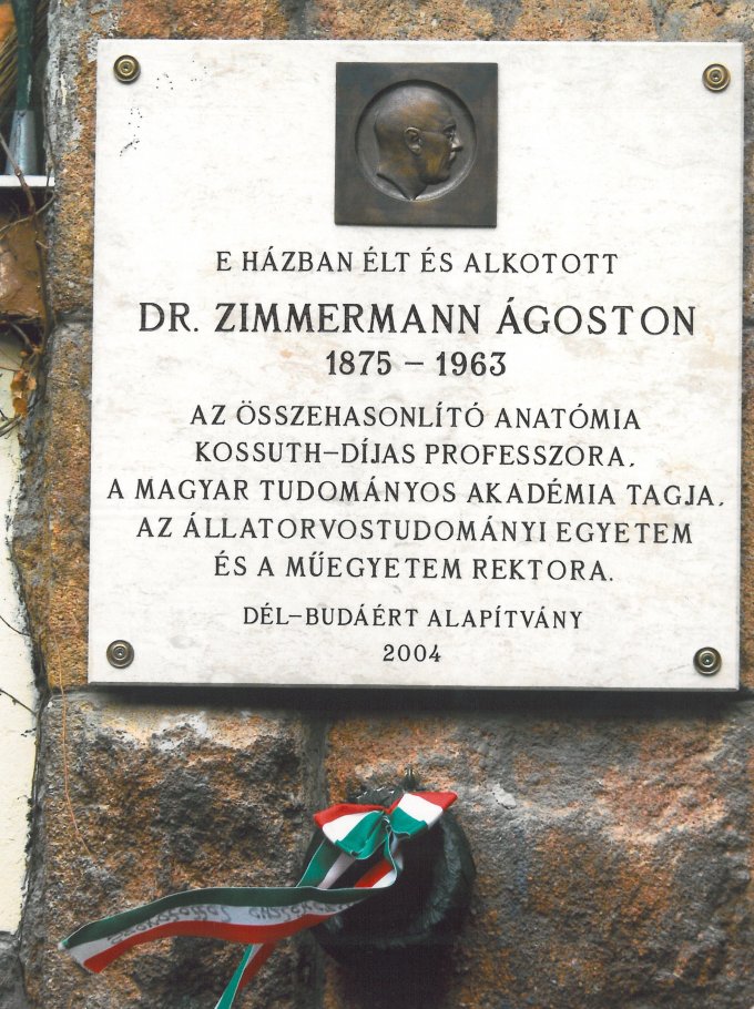 Dr. Zimmermann Ágoston emléktábla Dr. Zimmermann Ágoston emléktábla