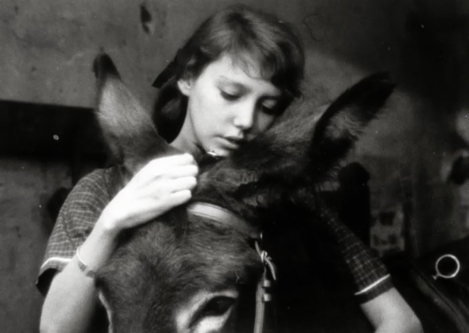 Vétlen Balthazár