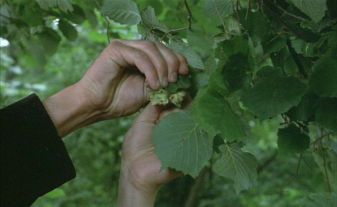A pénz